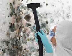 Biohazard Mold Removal in Garden City Park, NY